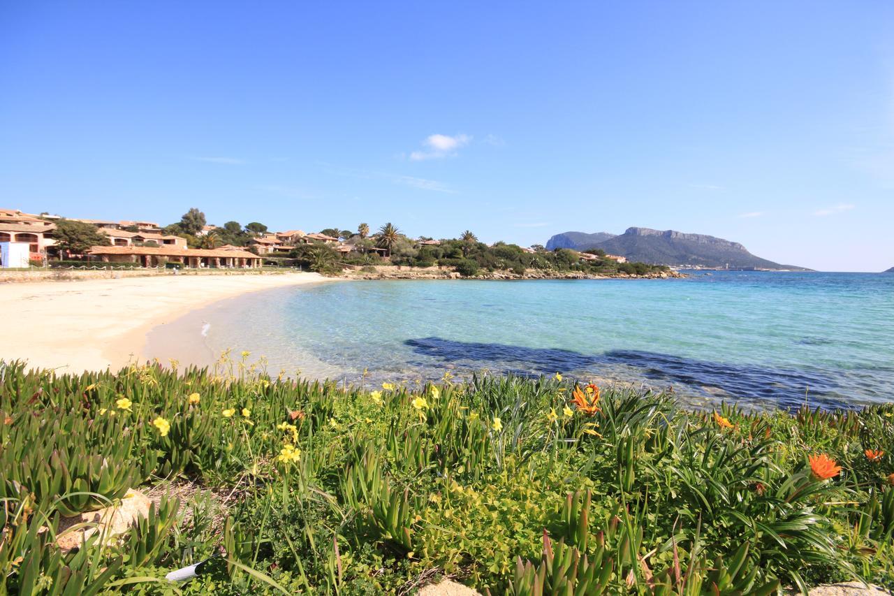 Apartment In S'Abba E Sa Pedra With Pool Golfo Aranci Exteriör bild