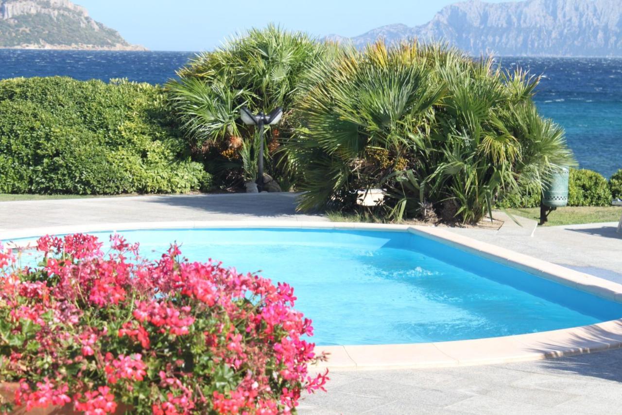 Apartment In S'Abba E Sa Pedra With Pool Golfo Aranci Exteriör bild